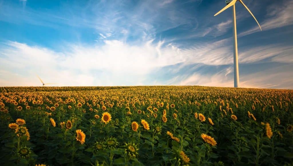 Green Transition Fund: il Fondo per startup attive nella transizione ecologica
