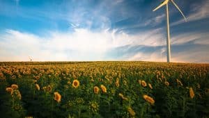 Green Transition Fund: il Fondo per startup attive nella transizione ecologica