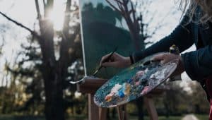 TOCC: Transizione Ecologica Organismi Culturali e Creativi