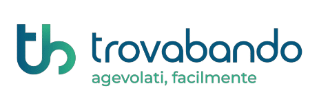 Il logo di travando.